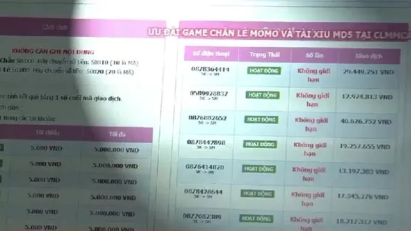 Hướng dẫn chi tiết cách chơi Tài Xỉu Momo